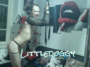 Littledoggy