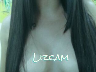 Lizcam