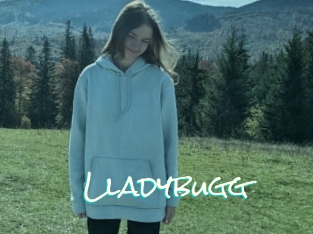 Lladybugg