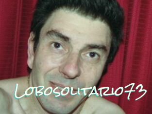 Lobosolitario73