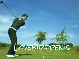 Lovebirdpenis