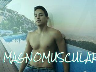 MAGNOMUSCULAR