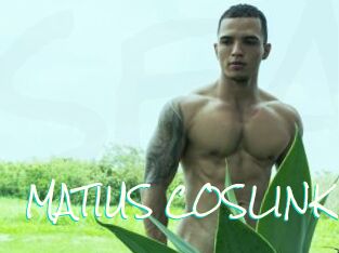 MATIUS_COSLINK