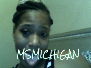 MSMICHIGAN