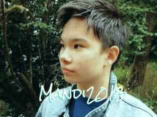 Mandi2013
