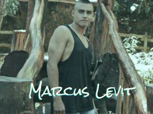 Marcus_Levit