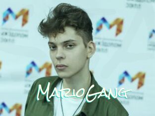 MarioGang