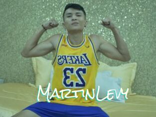 MartinLevy