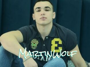 MartinWolf