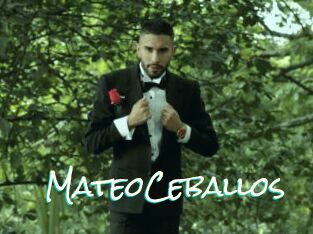 MateoCeballos