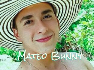 Mateo_Bunny