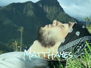 MattHayes