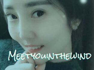 Meetyouinthewind