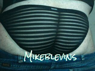 Mikeblevins