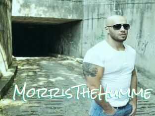 MorrisTheHumme