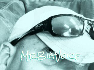 MrBigVoice