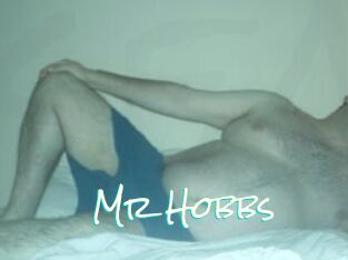 Mr_Hobbs