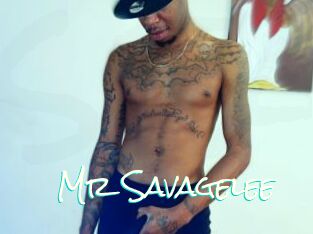Mr_Savagelee