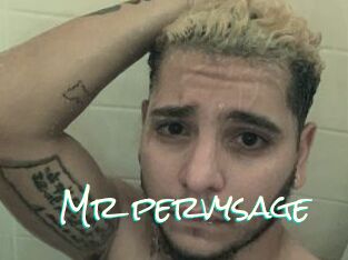 Mr_pervysage