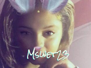Mswet23