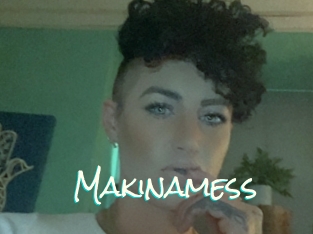 Makinamess