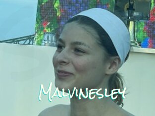 Malvinesley