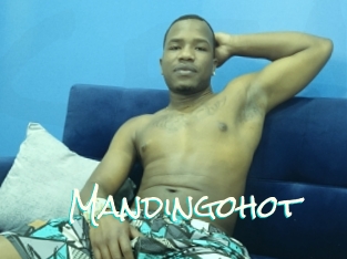 Mandingohot