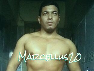 Marcellus20