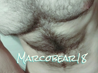 Marcobear18