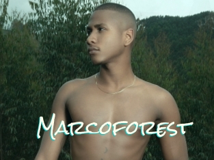 Marcoforest