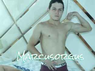 Marcusorgus