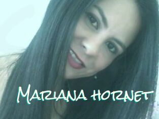 Mariana_hornet