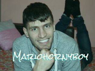 Mariohornyboy