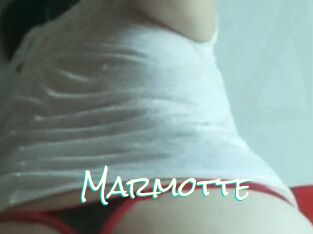 Marmotte