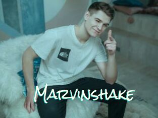 Marvinshake