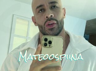 Mateoospiina