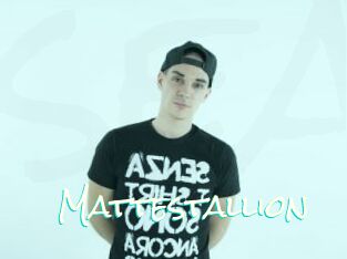 Mattestallion