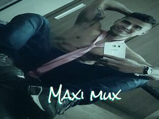 Maxi_mux