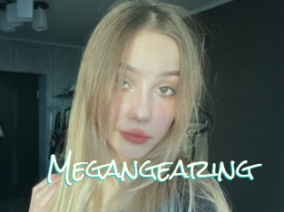 Megangearing