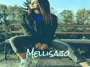 Mellisajo