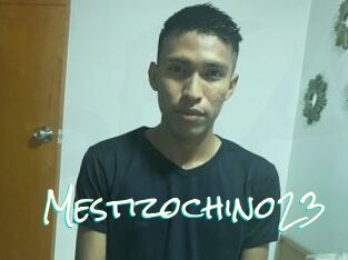 Mestizochino23