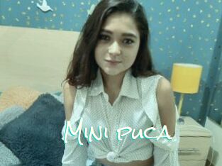 Mini_puca