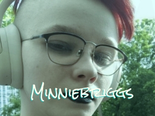 Minniebriggs