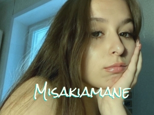 Misakiamane