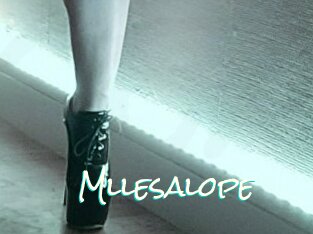 Mllesalope