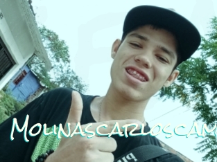 Molinascarloscam