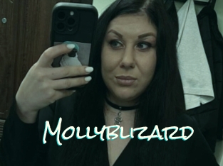 Mollyblizard