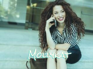 Mollykat