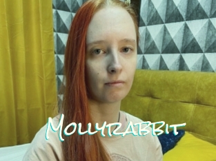 Mollyrabbit