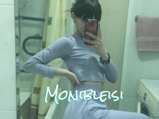 Monibleisi